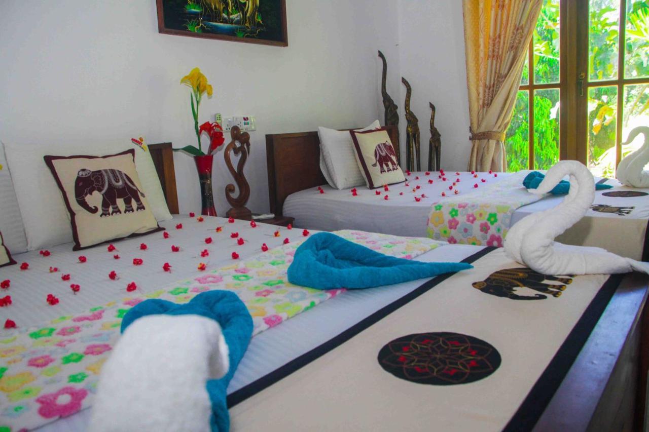 Hotel Hungry Lion Sigirija Zewnętrze zdjęcie